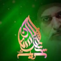 Tehreek-e-Labbaik Pakistan logo - Similar company to Islamic Resource Group