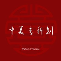 China US Youth Technology Innovation Summit 中美青年科技创新峰会 logo - Similar company to Us China Innovation Alliance
