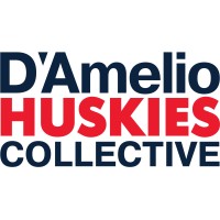 D'Amelio Huskies Collective logo - Similar company to Prosportplex