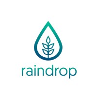 Raindrop Digital logo - Similar company to Koodoo Creative