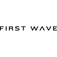 First Wave Consulting Solutions logo - Similar company to First Wave Growth