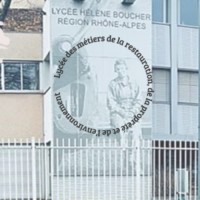 lp-hélène-boucher-lycée-des-métiers-de-la-restauration-de-la-propreté-et-de-l-environnement logo - Similar company to Ligne Dys
