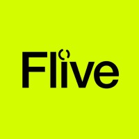 Flive logo - Similar company to Ch Solutions