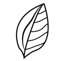 Candid Coffee logo - Similar company to Barista & Coffee Academy Of Asia