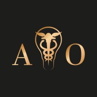 AINO - Accounting Intelligence logo - Similar company to Finance4You Oeste