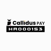 Fintech Franšiza logo - Similar company to Header