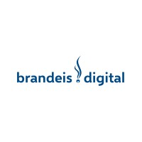 Brandeis Digital GmbH logo - Similar company to Aiplexbridge