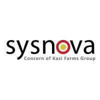 Sysnova Information Systems Limited logo - Similar company to Techtrioz Solutions