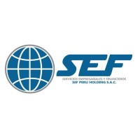 SEF Perú Holding logo - Similar company to O&M Servicios Comerciales Sac