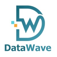 Data Wave logo - Similar company to Data Wave