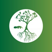 Floresta Cheia Instituto de Conservação Ambiental logo - Similar company to Renov Consultoria Ambiental