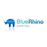 Blue Rhino Capital logo - Similar company to Bootleg Strategy Consulting