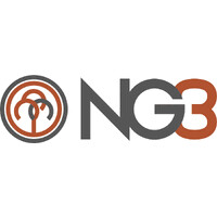 NG3 logo - Similar company to Burke Blue