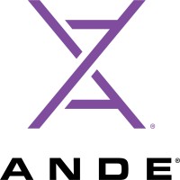 ANDE Rapid DNA logo - Similar company to Sandra Network - Tech Support & Consulting