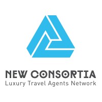 NewConsortia US logo - Similar company to Create Flow