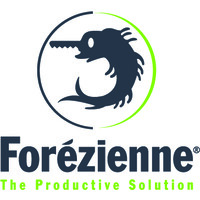 FOREZIENNE MFLS logo - Similar company to Nigay