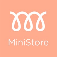 Mini Store logo - Similar company to Bianca Accessory