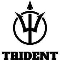 Trident EPC, LLC. logo - Similar company to Trident E&P, Llc