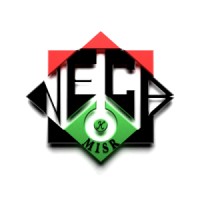 Nile Engineering Consulting Bureau (N.E.C.B.) logo - Similar company to Nile Engineering Projects