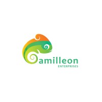Camilleon Consulting