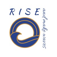 Rise and Make Waves logo - Similar company to The Seven Hills School