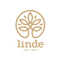 de Linde logo - Similar company to Sorsadviesgroep