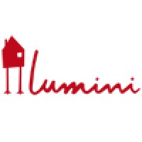 Lumini logo - Similar company to Netfirst Digital