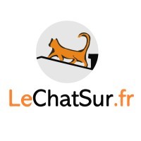 LeChatSur Madagascar logo - Similar company to Lechatsur Assurances