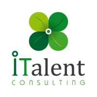 ITalent Consulting, Information and Technology logo - Similar company to Spinnerit Consulting