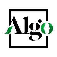 Algo Media logo - Similar company to 6Hod9