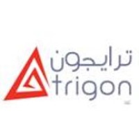 TRIGON LLC logo - Similar company to Techmicro Llc