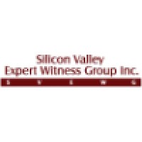 Silicon Valley Expert Witness Group, Inc.