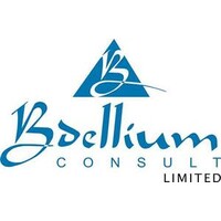 Bdellium Consult Limited logo - Similar company to Eweko Concept