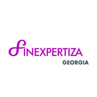 Finexpertiza Georgia logo - Similar company to Internshiptech