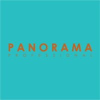 Panorama Professional logo - Similar company to Bringist
