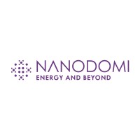 NanoDomi logo - Similar company to Sbs Systems