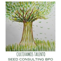 Seed Consulting BPO logo - Similar company to Interplusre