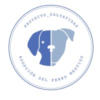Proyecto_Salvavidas logo - Similar company to Leanmail