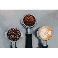 The Studio Beans logo - Similar company to The Kodiak Group