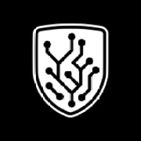 Big Sky Cybersecurity Inc. logo - Similar company to Eckstrom Consulting