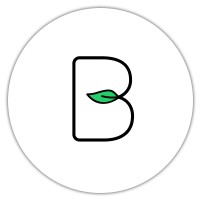 Bilzo logo - Similar company to Blizo.Pro