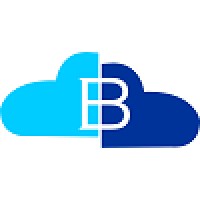 BCLOUD Technology logo - Similar company to Iikaya Solutions