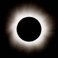 PhotoAlliance logo - Similar company to Profarm Medical, Llc
