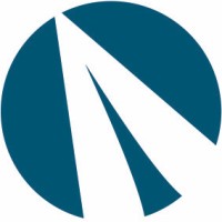 DRONETEAM logo - Similar company to Light A Sky