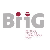BiiG - Biomedical Imaging and Instrumentation Group logo - Similar company to Findbuddy