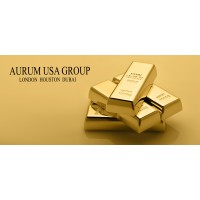 Aurum USA Inc logo - Similar company to Advanced Gold Exploration