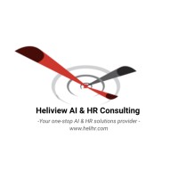 Heliview AI & HR Consulting logo - Similar company to Go Bear Ai