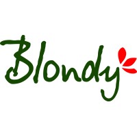 Blondy Romania logo - Similar company to Luna Solai
