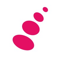 SteppingStones Tech logo - Similar company to Hapi Protocol