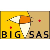 Bayreuth International Graduate School for African Studies (BIGSAS) logo - Similar company to European Institute For Eurasian Dialogue (E.I.E.A.D.)